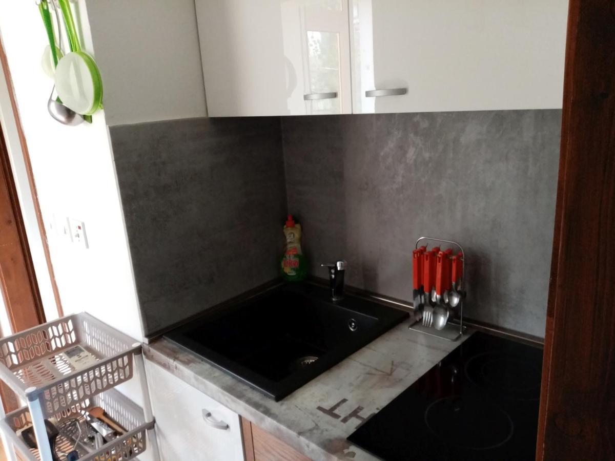 Apartman Violeta ロヴラン エクステリア 写真